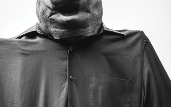 Aleksandar Novaković – Surovina