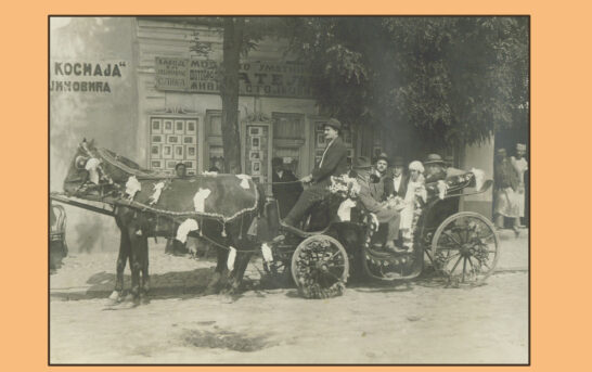 Radmila Vojinović – Slatko od dunja