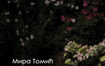 Мира Томић – Под звезданим небом