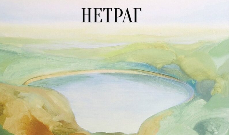 Миња Јовичин – Нетраг