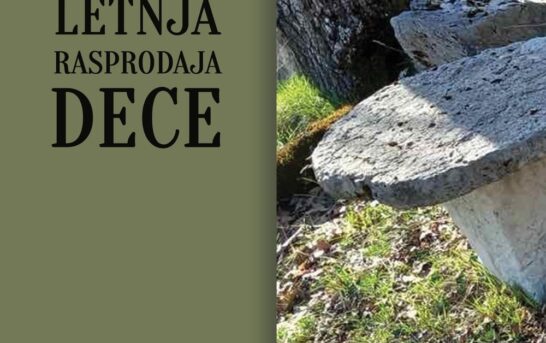 Slobodan Vojičić – Velika letnja rasprodaja dece